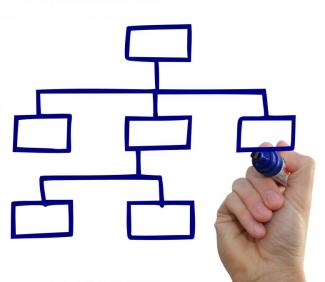 Organigramma