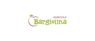 bargiolina