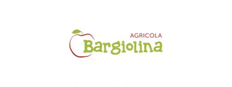 bargiolina