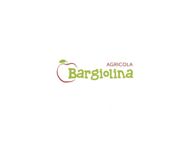 bargiolina
