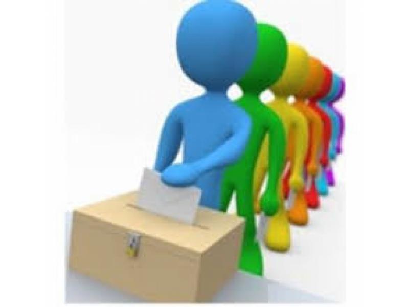 elezioni 2020